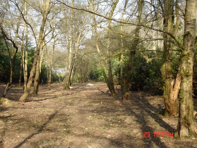 Car Park now in view